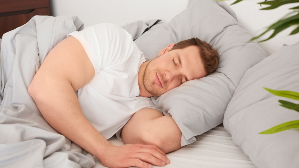 Power Nap 7 Fakten über den Schlaf